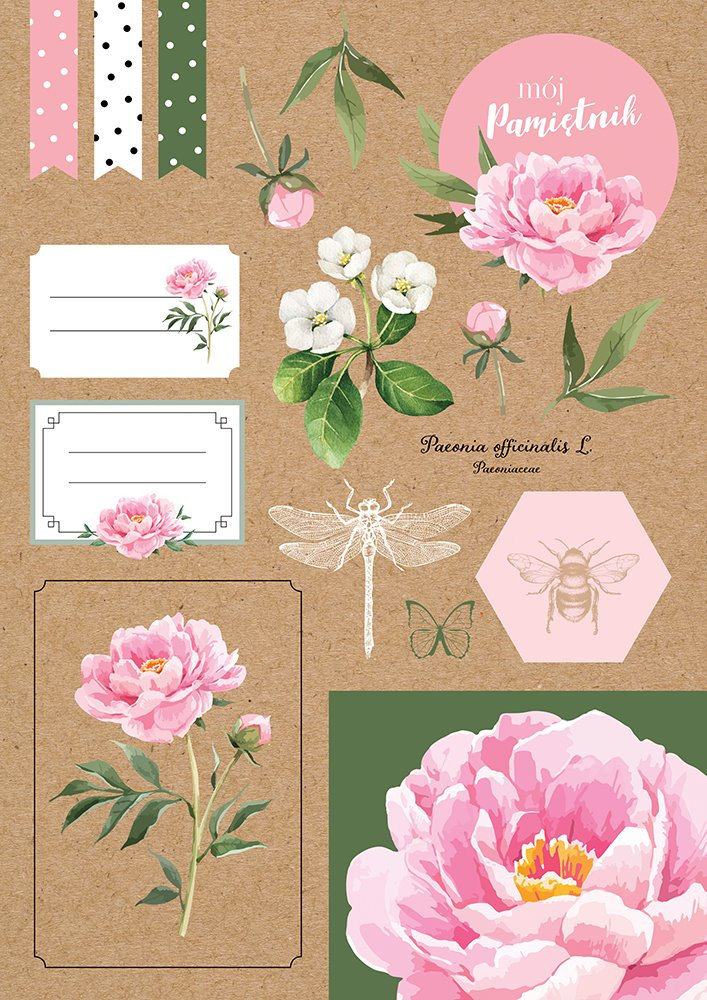 Blok kreatywny A4 z naklejkami Interdruk